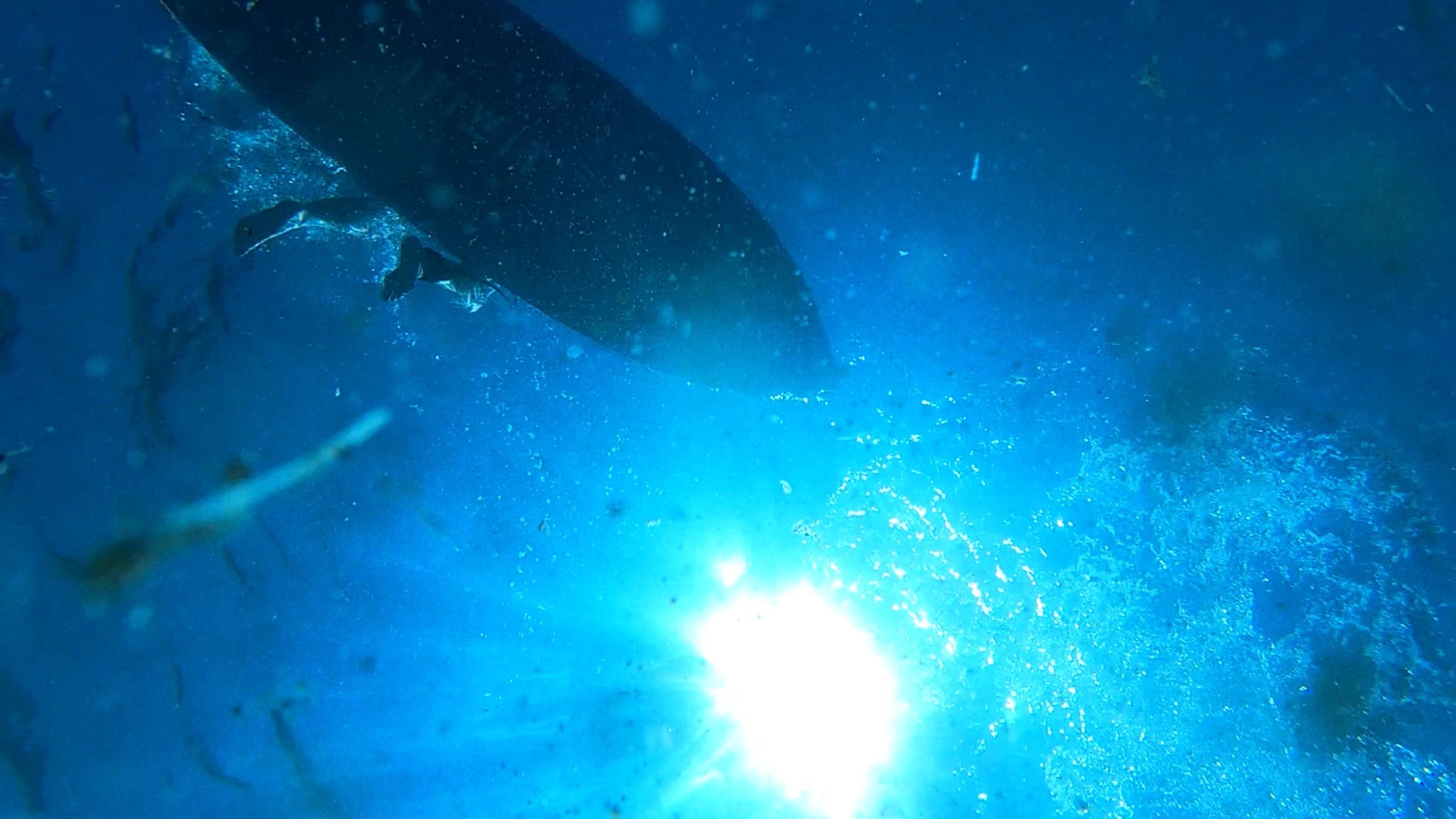 Underwater, the sun bursts through blue water beneath a floating board.