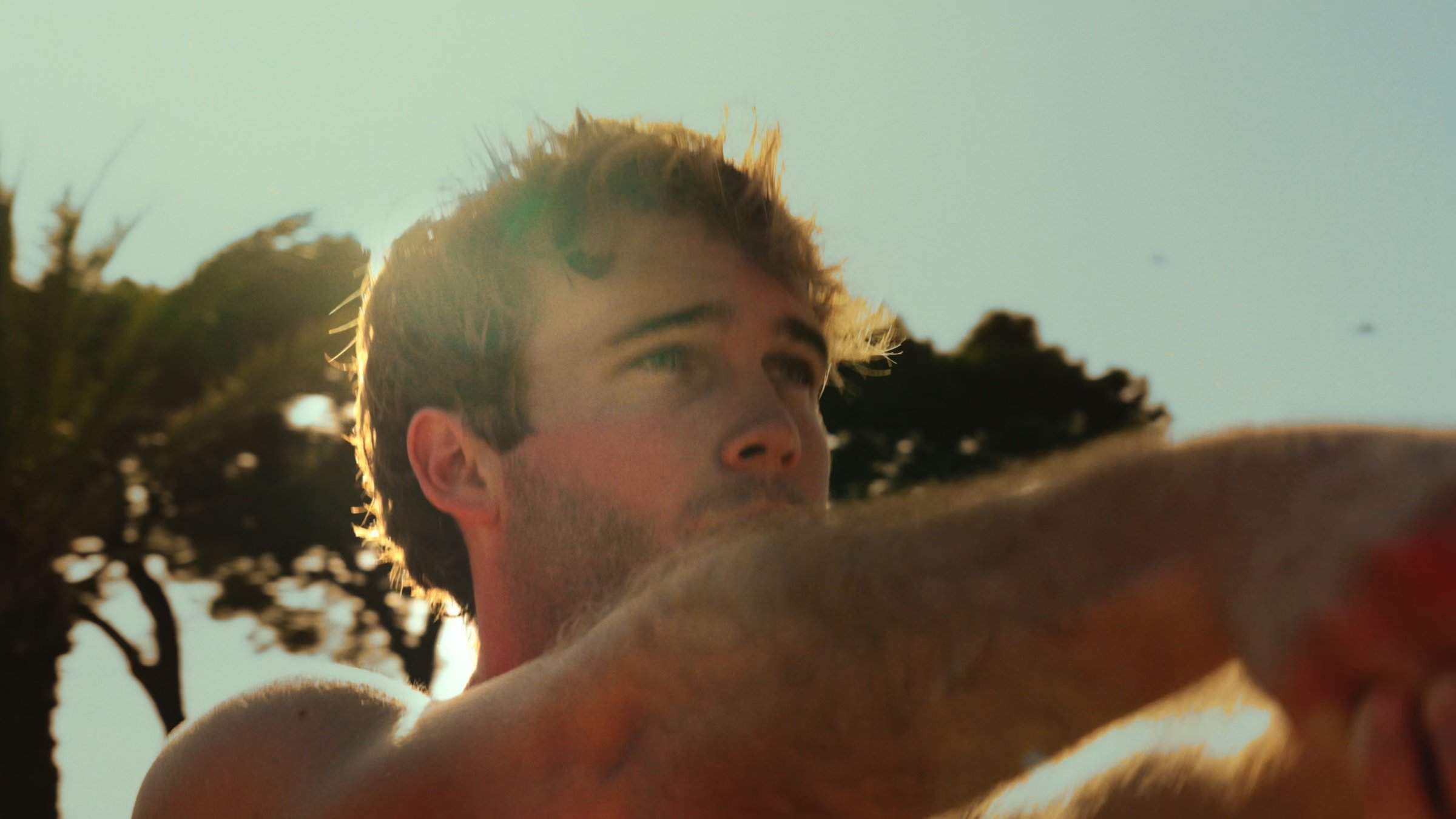 A man backlit by low sun among palm trees.